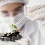 Варианты использования оборудования в биотехнологическом производстве: какие вещества можно синтезировать и выращивать